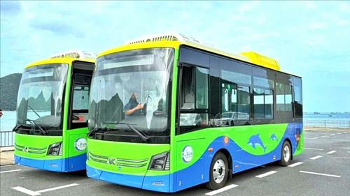 Vận hành tuyến xe buýt điện đầu tiên tại đặc khu Côn Đảo