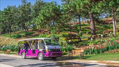 Lâm Đồng thí điểm sử dụng xe điện phục vụ du khách tại Đà Lạt