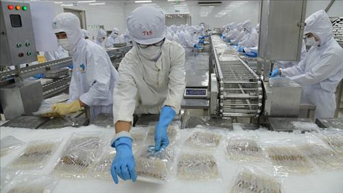 Xuất khẩu nông lâm thủy sản vượt kỳ vọng, đạt 33,84 tỷ USD trong nửa đầu năm 2025