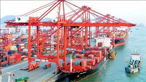Kim ngạch thương mại Việt Nam – Singapore tăng mạnh trong 8 tháng năm 2025