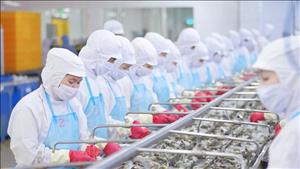 Triển khai thực hiện các nhiệm vụ, giải pháp trọng tâm thúc đẩy xuất khẩu