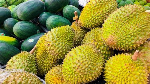 Khuyến cáo doanh nghiệp cập nhật quy định mới của Trung Quốc về xuất khẩu nông sản