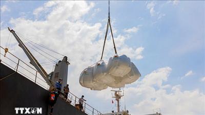 Đưa thương mại quốc tế thành động lực tăng trưởng bền vững