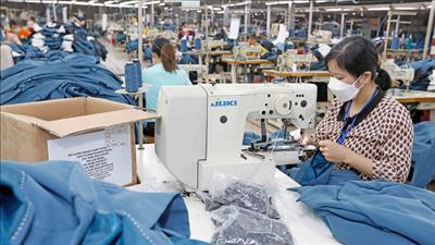 Tổng kim ngạch xuất nhập khẩu Việt Nam - Nhật Bản lần đầu vượt mốc 50 tỷ USD