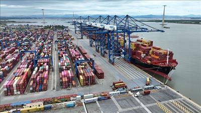 Cắt giảm thủ tục xuất nhập khẩu, tạo thuận lợi cho hoạt động thương mại quốc tế của doanh nghiệp