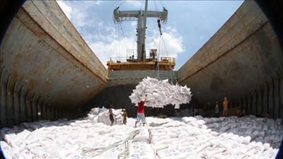 Xuất khẩu gạo của Việt Nam năm 2020 đạt khoảng 6,15 triệu tấn