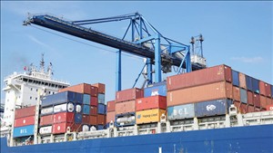 Tăng cường xúc tiến thương mại tại các thị trường trọng điểm giai đoạn cuối năm 2026