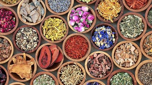Phát huy vai trò của y học cổ truyền trong chăm sóc sức khỏe người dân