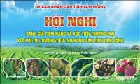 Tối ưu hóa giá trị kinh tế của nông sản  