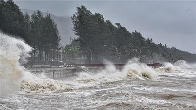 Bão số 8 mạnh lên, các tỉnh miền Trung tiếp tục mưa lớn