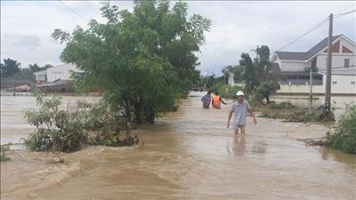 Ninh Thuận chủ động công tác phòng thiên tai, đảm bảo an toàn mùa mưa bão