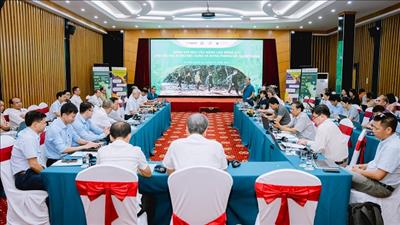 Xây dựng năng lực quản lý rừng đặc dụng, rừng phòng hộ Việt Nam
