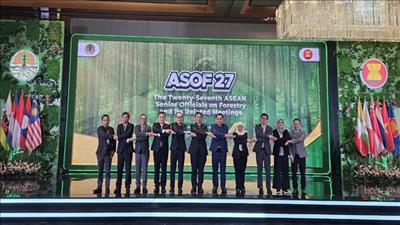 ASEAN hợp tác bảo vệ rừng, phát triển lâm nghiệp bền vững