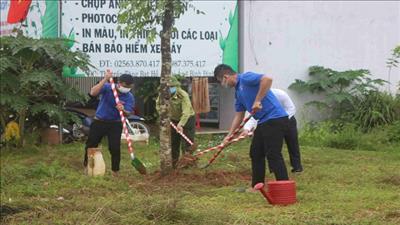 Hoài Ân (Bình Định) phát động phong trào trồng cây xanh phân tán