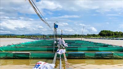 Gia Lai ban hành kế hoạch giám sát môi trường trong nuôi trồng thủy sản 2023