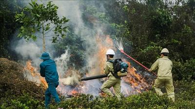 Lai Châu tăng cường quản lý, bảo vệ rừng và phòng cháy, chữa cháy rừng mùa khô