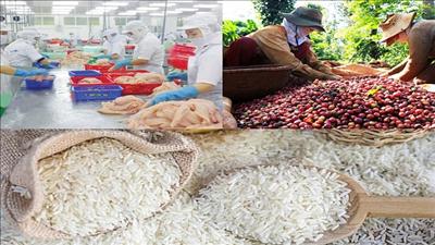 Nhiều tiềm năng trong xuất khẩu nông sản sang thị trường Algeria và Senegal