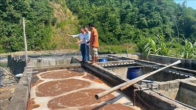 Sơn La tăng cường kiểm soát ô nhiễm môi trường, nguồn nước trong sản xuất nông sản