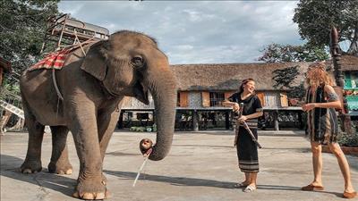 Đắk Lắk thực hiện mô hình du lịch thân thiện với voi