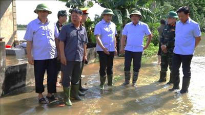 Ngành tài nguyên và môi trường chủ động ứng phó với tình hình mưa lũ, sạt lở đất