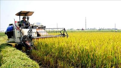 Hơn 90.000 tỷ đồng đầu tư cho nông thôn ở Hà Nội