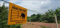 Chuyển giao hàng rào điện từ năng lượng mặt trời bảo vệ voi ở Đồng Nai