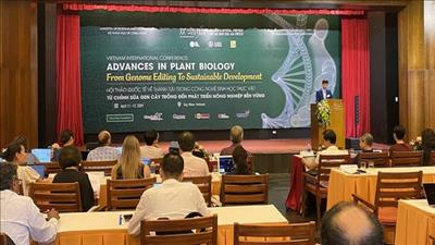 Phát triển bền vững công nghệ sinh học nông nghiệp