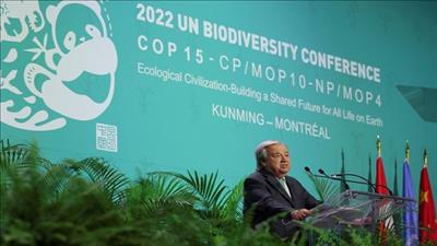 Liên Hợp Quốc kêu gọi hành động để bảo vệ môi trường, đa dạng sinh học