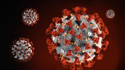 Nghiên cứu đoạn protein giả vô hiệu hóa virus SARS-CoV-2