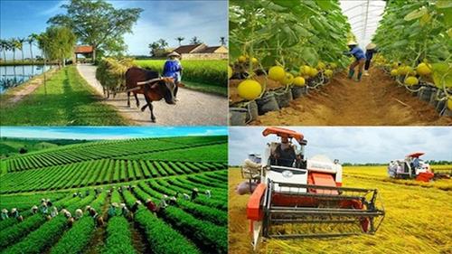 Tổng kết và triển khai định hướng xanh cho Ban quản lý các dự án nông nghiệp