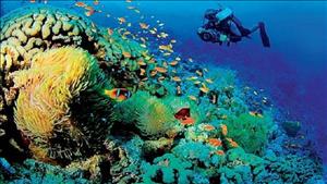Bảo vệ môi trường và khai thác tài nguyên biển bền vững