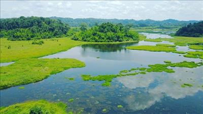 Cập nhật tiến trình chứng nhận Danh lục xanh về bảo tồn đa dạng sinh học tại Việt Nam