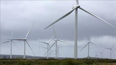 Cơ chế nào để doanh nghiệp yên tâm đầu tư vào điện gió?