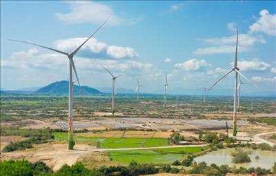Nhà đầu tư đề xuất thêm thời gian giá ưu đãi cho dự án điện gió chưa về đích