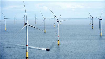 TGS mở rộng phạm vi phủ sóng dữ liệu cho ngành năng lượng gió ngoài khơi