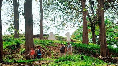 Điện Biên bảo vệ và phát triển rừng bền vững