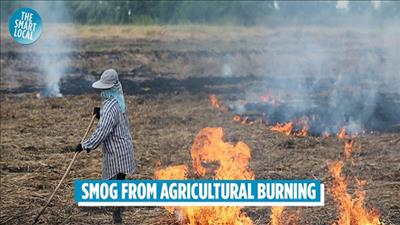 Loại bỏ carbon đen từ hoạt động đốt rơm rạ, chất thải nông nghiệp