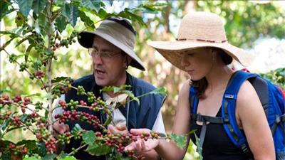 Việt Nam và Colombia hợp tác phát triển mô hình du lịch cà phê