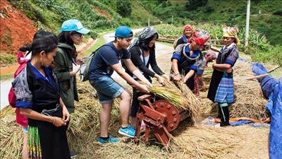 Phê duyệt đề án Phát triển du lịch cộng đồng tại Việt Nam