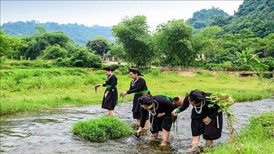 Phú Thọ đẩy mạnh du lịch nông nghiệp