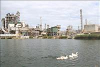 Nhà máy lọc dầu Dung Quất đạt danh hiệu Nhà máy Xanh thân thiện