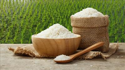 Xuất khẩu lô gạo thơm 1.600 tấn
