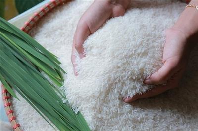 Thành ủy Hà Nội gửi tặng 6.000 tấn gạo cho TP Hồ Chí Minh và Bình Dương