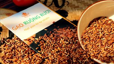 Đề cử gạo ruộng rươi vào hành trình quảng bá TOP đặc sản Việt Nam 2020