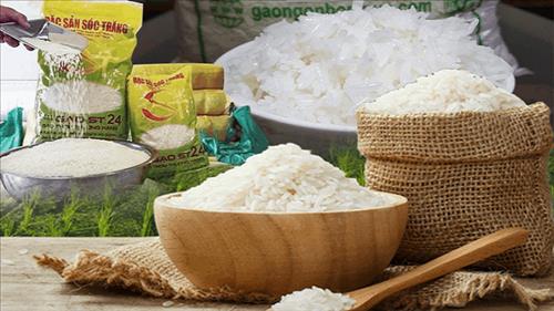 Phát triển thị trường xuất khẩu gạo theo hướng bền vững, chất lượng cao