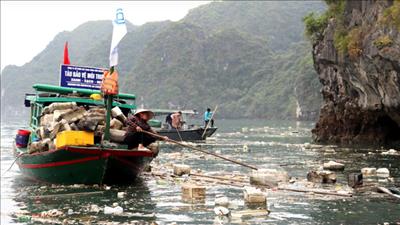Ra quân thu gom rác thải, bảo vệ môi trường vịnh Hạ Long