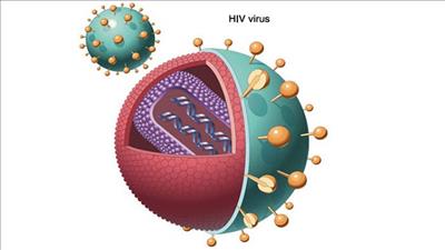 WHO công bố hướng dẫn khoa học ngăn chặn sự lây truyền HIV