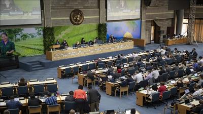 Liên Hợp Quốc thông qua nhiều nghị quyết hành động vì thiên nhiên