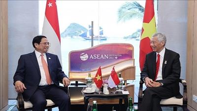 Việt Nam và Singapore triển khai hiệu quả quan hệ đối tác kinh tế xanh