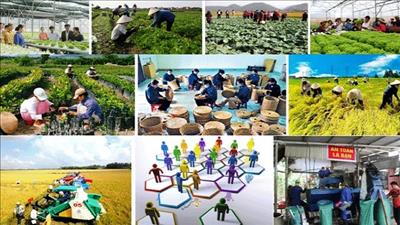 Phát triển hợp tác xã nông nghiệp thông minh